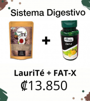 sistema-digestivo-1